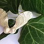 Sterling Silver Sycamore Seed Brooch, thumbnail 3 of 3
