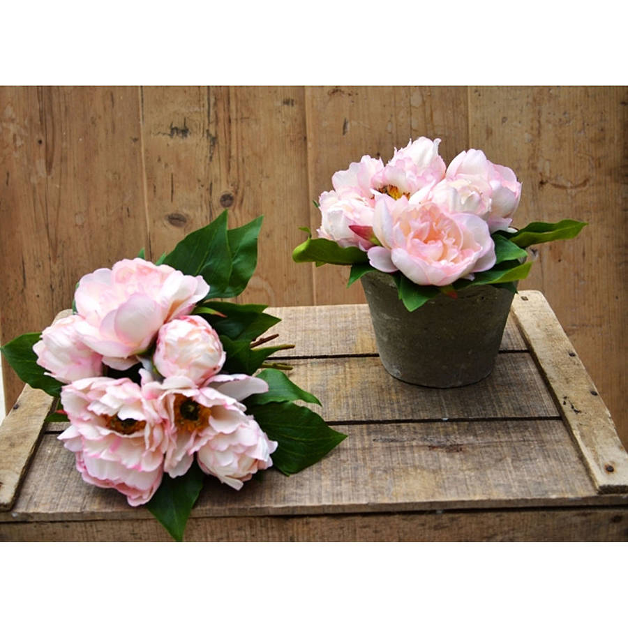 Silk Peony Bundle By Funky Bunch