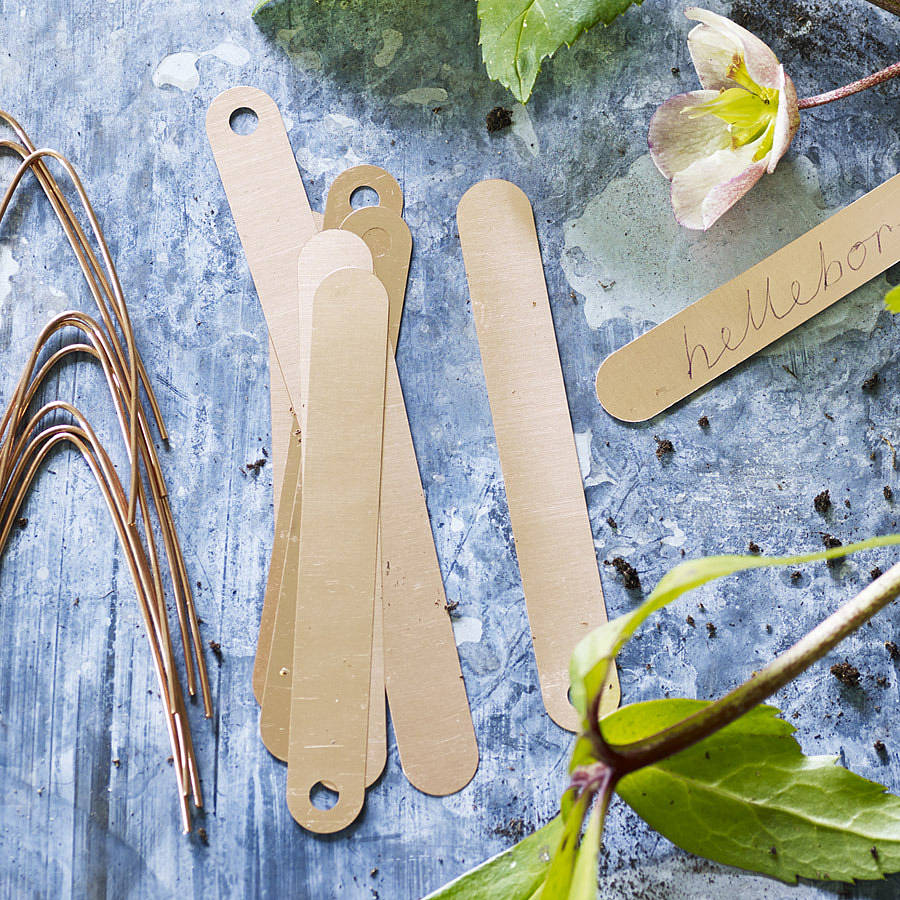 obar copper plant labels, pack of ten by rowen & wren