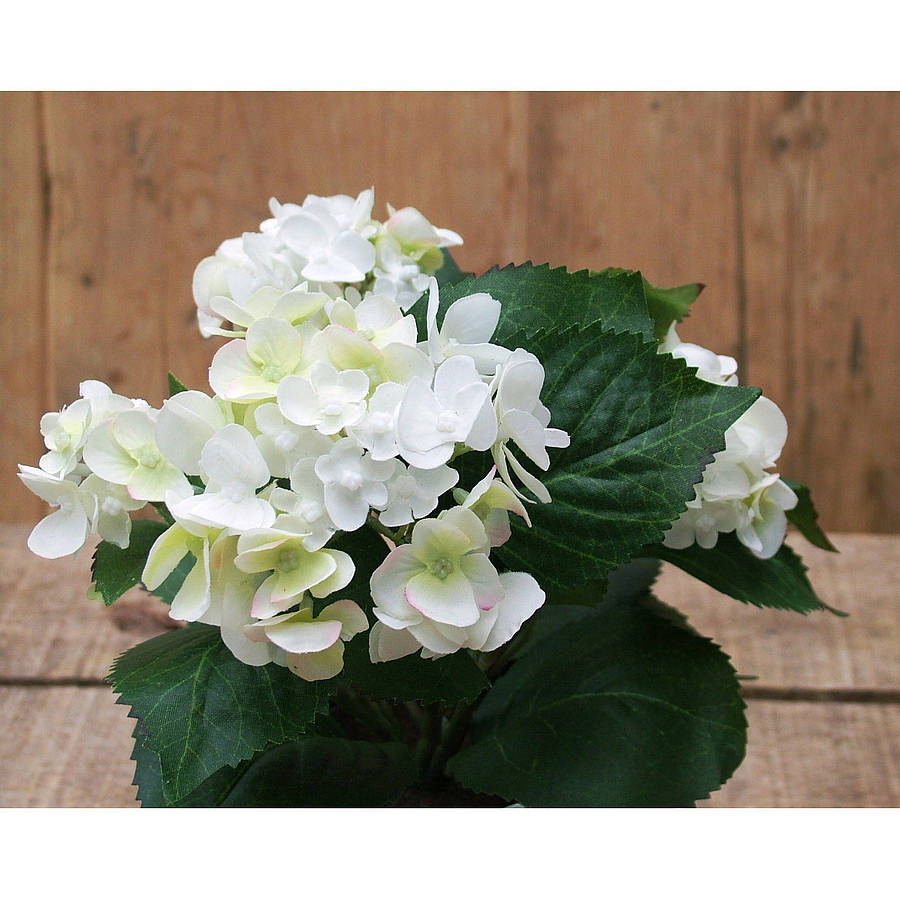 Silk Hydrangeas In Wooden Planter By Funky Bunch