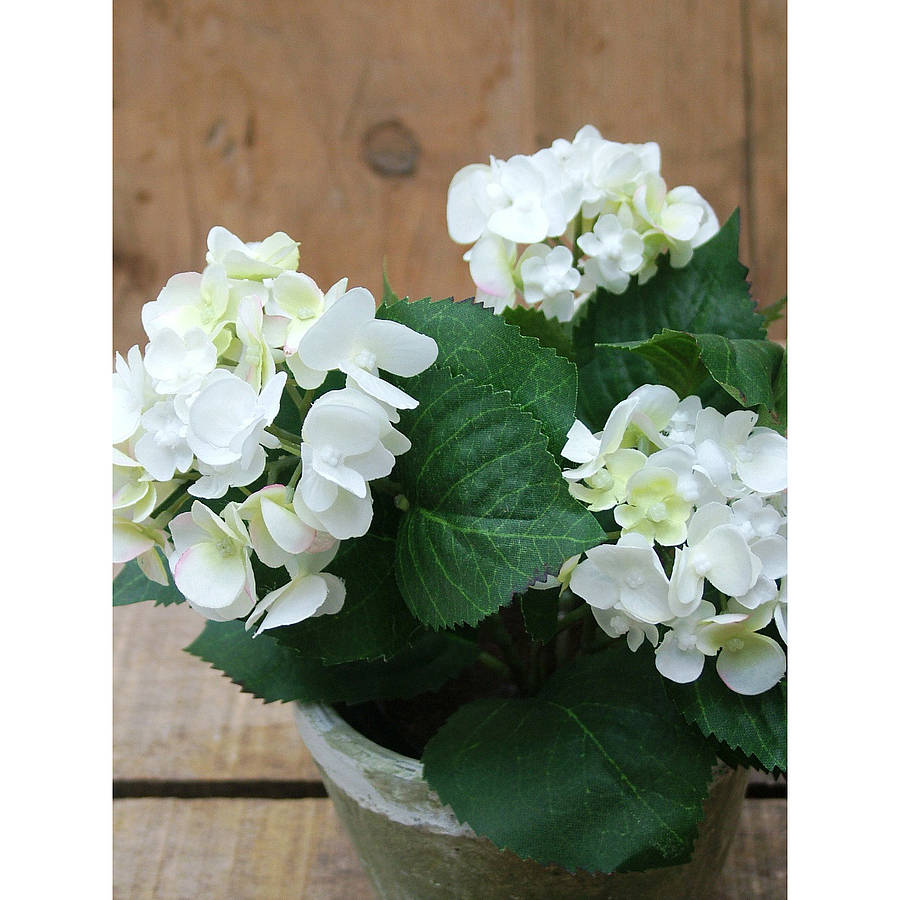 Silk Hydrangeas In Wooden Planter By Funky Bunch