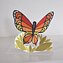 Butterfly Greetings Card, thumbnail 1 of 4
