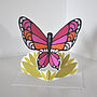 Butterfly Greetings Card, thumbnail 4 of 4