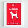 'Life Is Merrier With An Irish Terrier' Print, thumbnail 2 of 2