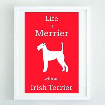 'Life Is Merrier With An Irish Terrier' Print, 2 of 2