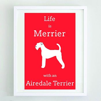 'Life Is Merrier With An Airedale Terrier', 2 of 2