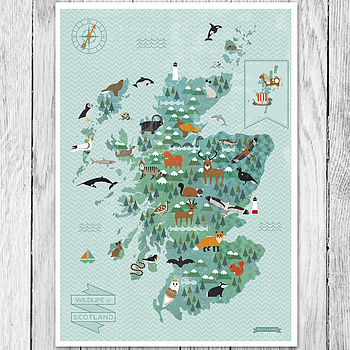 Wildlife Map Of Scotland Print, 2 of 5