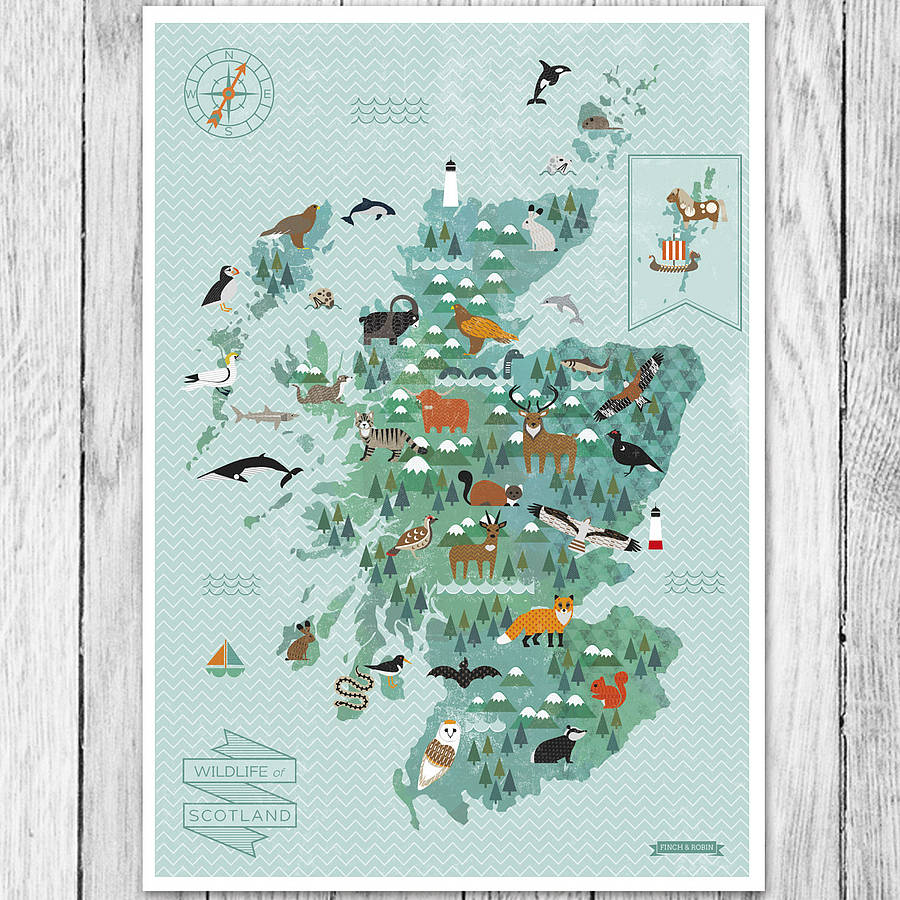 Aktuator filthy regional Wildlife Map Of Scotland Print By Kate McLelland Shop |  notonthehighstreet.com