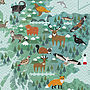 Wildlife Map Of Scotland Print, thumbnail 3 of 5