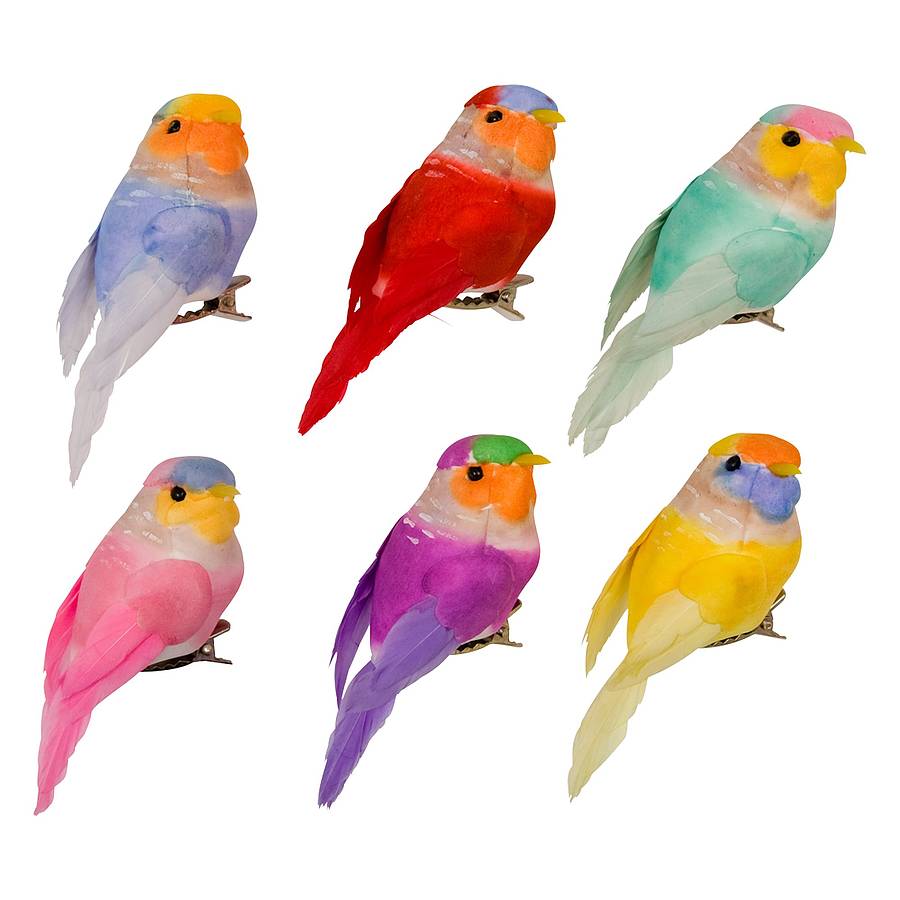 Разноцветные птицы для детей