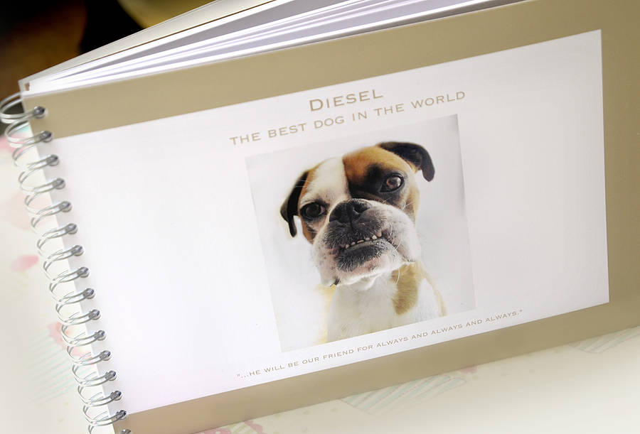 dog memory book by amanda hancocks