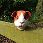 Guinea Pig Egg Cup, thumbnail 5 of 5