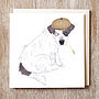 Dog Birthday Card Doggy Dress Up, thumbnail 7 of 12
