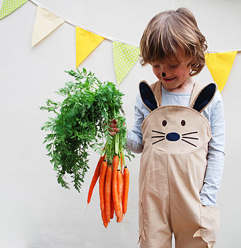 Easter Bunny Rabbit Dungaree Overalls, 3 of 8