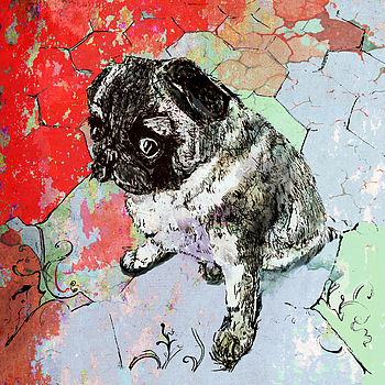 The Little Pug Signed Portrait, 2 of 3