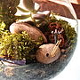 Mini World Terrarium Kit Window Cleaner, thumbnail 1 of 8