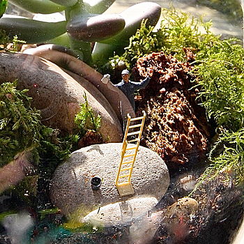 Mini World Terrarium Kit Window Cleaner, 3 of 8