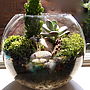 Mini World Terrarium Kit Window Cleaner, thumbnail 2 of 8
