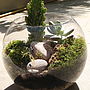 Mini World Terrarium Kit Window Cleaner, thumbnail 6 of 8