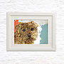 Norfolk Terrier Portrait, thumbnail 2 of 2