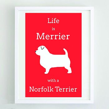 'Life Is Merrier With A Norfolk Terrier', 2 of 2