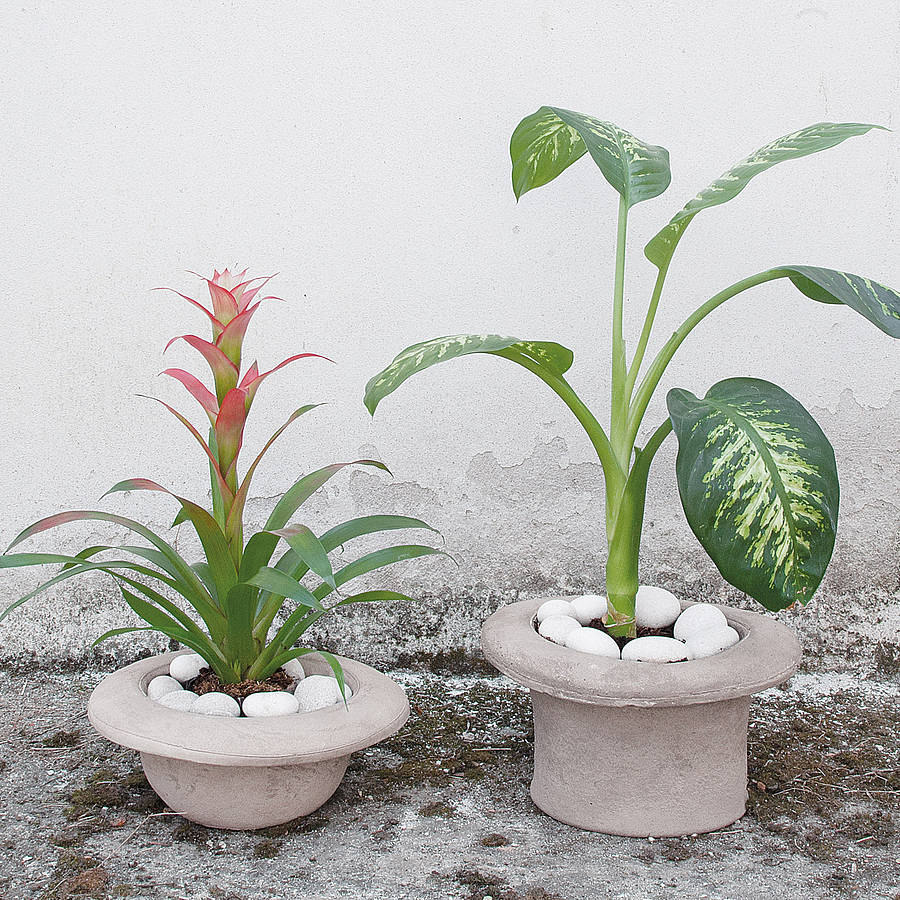 Concrete Hat Planter By Out There Interiors