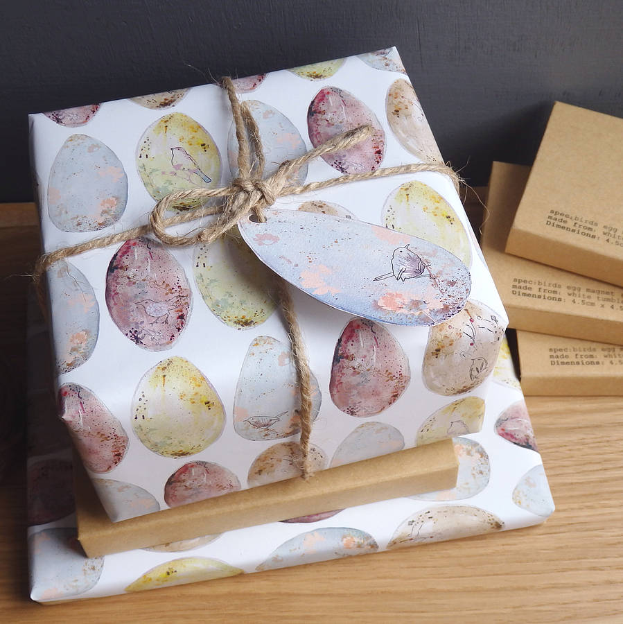 Bird's Egg Gift Wrap By littlebirdydesigns
