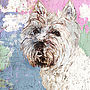 West Highland Terrier Portrait, thumbnail 1 of 2