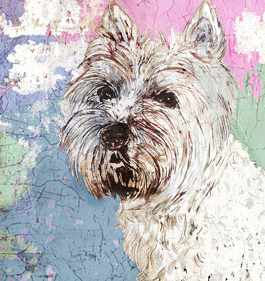 West Highland Terrier Portrait, 1 of 2