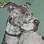 Staffordshire Bull Terrier Portrait, thumbnail 1 of 2