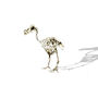 The Lonely Dodo Print, thumbnail 2 of 2