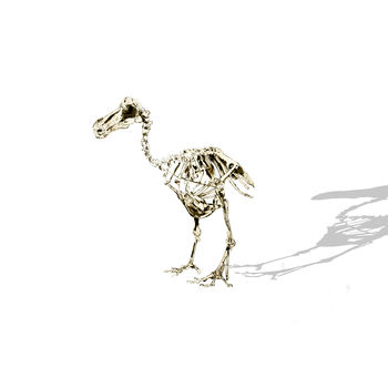 The Lonely Dodo Print, 2 of 2