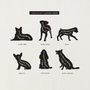 Personalised Dog Keepsake Album: 12 Breeds, thumbnail 3 of 12