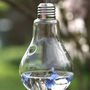 Glass Hanging Vase, Lightbulb, thumbnail 5 of 5