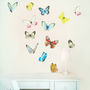 Watercolour Butterfies Wall Stickers, thumbnail 1 of 3