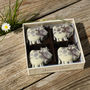 Chocolate Cows, thumbnail 2 of 4
