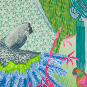 Jenny Collicott Blue Headed Parrot Cushion, 2 of 2
