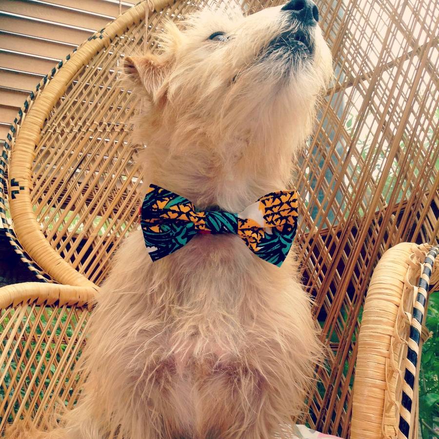 Pineapple Print Pet Bow Tie By Pup Tart Handmade