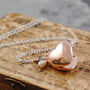 Heart Locket Rose Gold Plated Sterling Silver Necklace, thumbnail 1 of 10