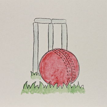 Handmade Cricket Birthday Card, 2 of 3