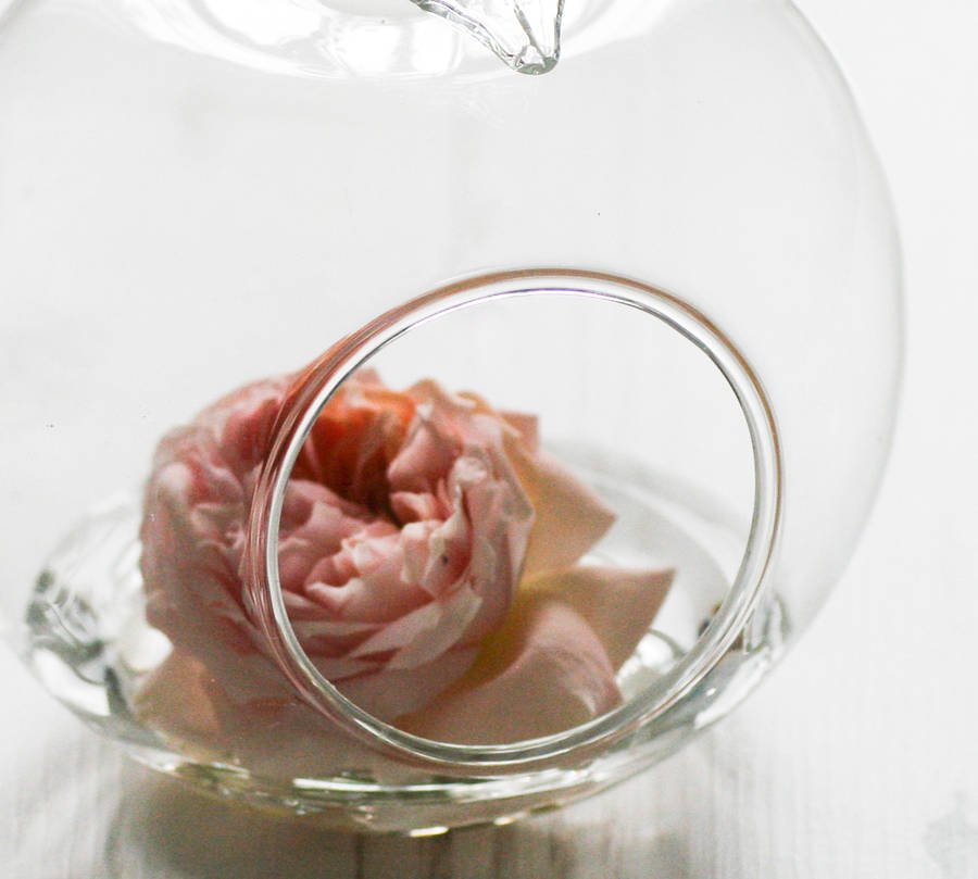 Apple Glass Vase By Bonnie and Bell | notonthehighstreet.com