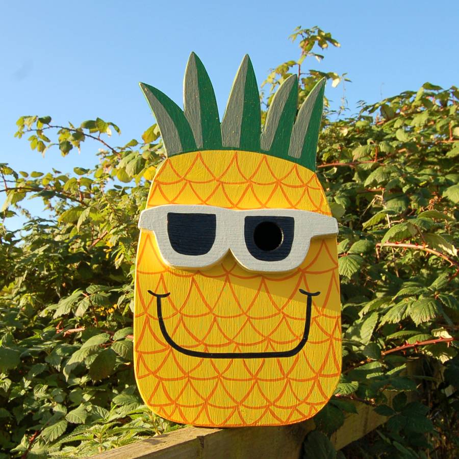 Pineapple Bird Box By Lindleywood | notonthehighstreet.com