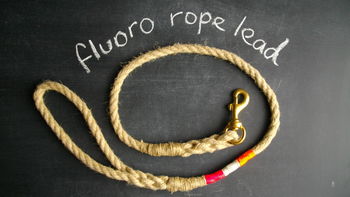 Spliced Rope Dog Lead, 2 of 2