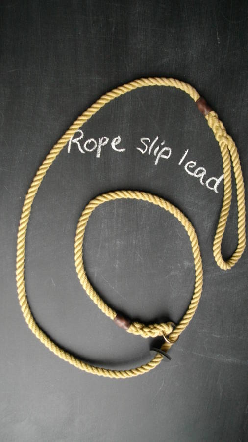 Rope Slip Lead, 1 of 2