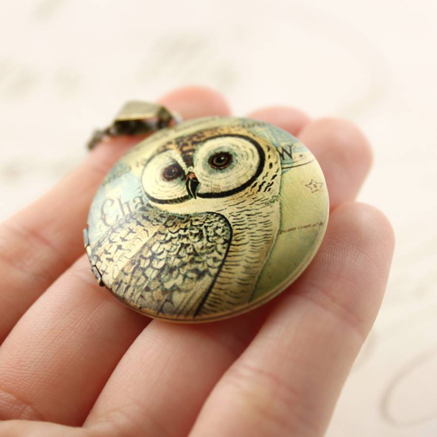 Owl Locket By Rachel Wren