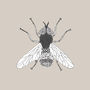 Insect Card, thumbnail 2 of 2