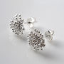 Sterling Silver Cluster Stud Earrings, thumbnail 2 of 10