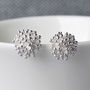 Sterling Silver Cluster Stud Earrings, thumbnail 1 of 10