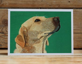 Golden Labrador Card, 2 of 2