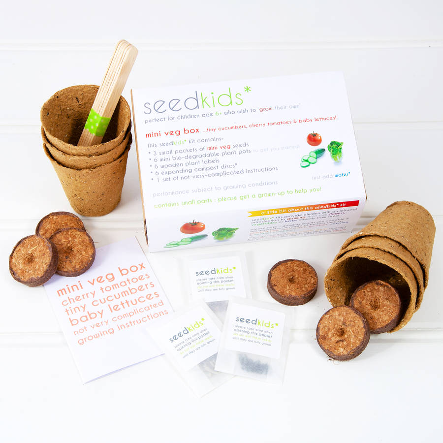 Seedkids* Grow Your Own 'Mini Veg' Kit By Studio 9 Ltd